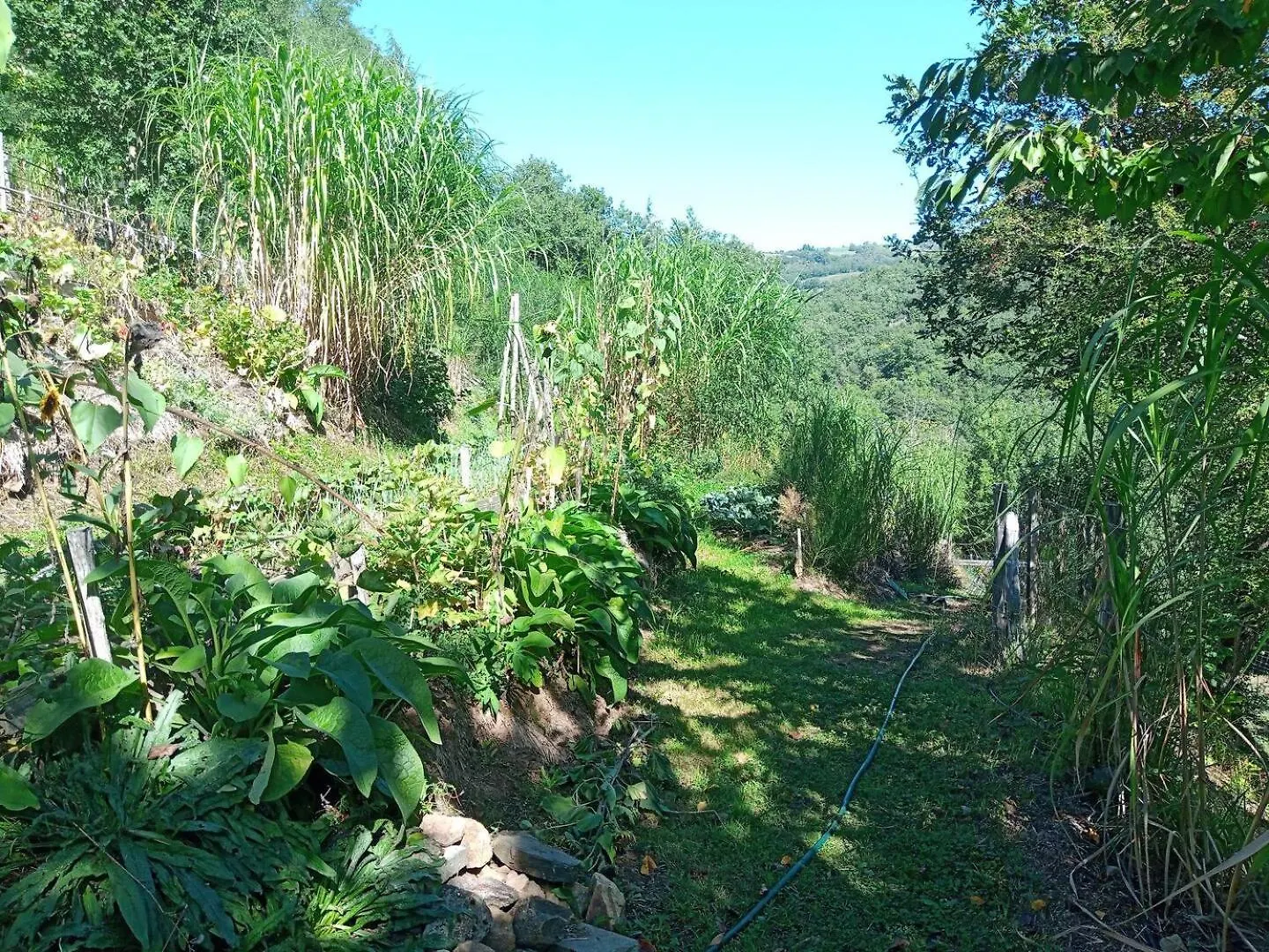 Casa de Campo L'Oasis Du Bosc Casa de hóspedes Viala-du-Tarn